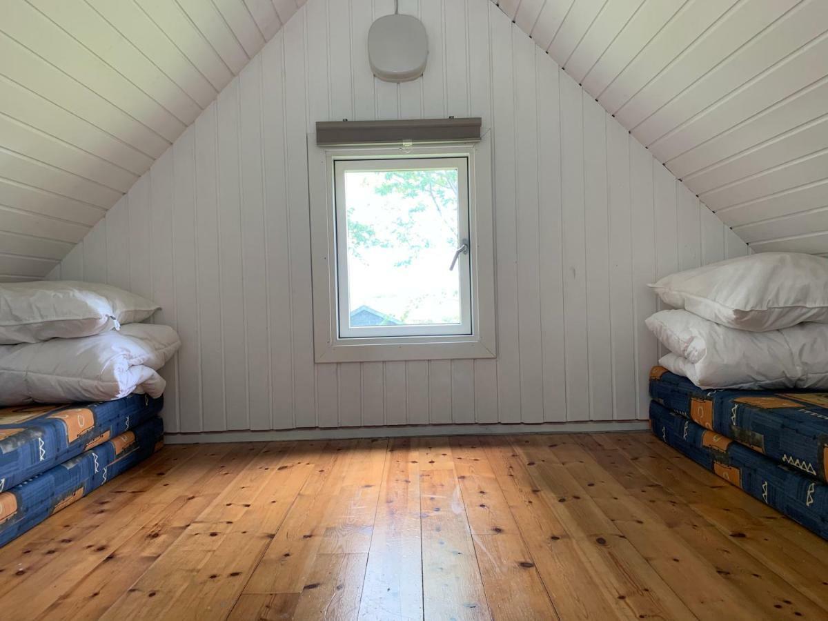 Tangloppen Camping & Cottages Ishøj Exteriér fotografie